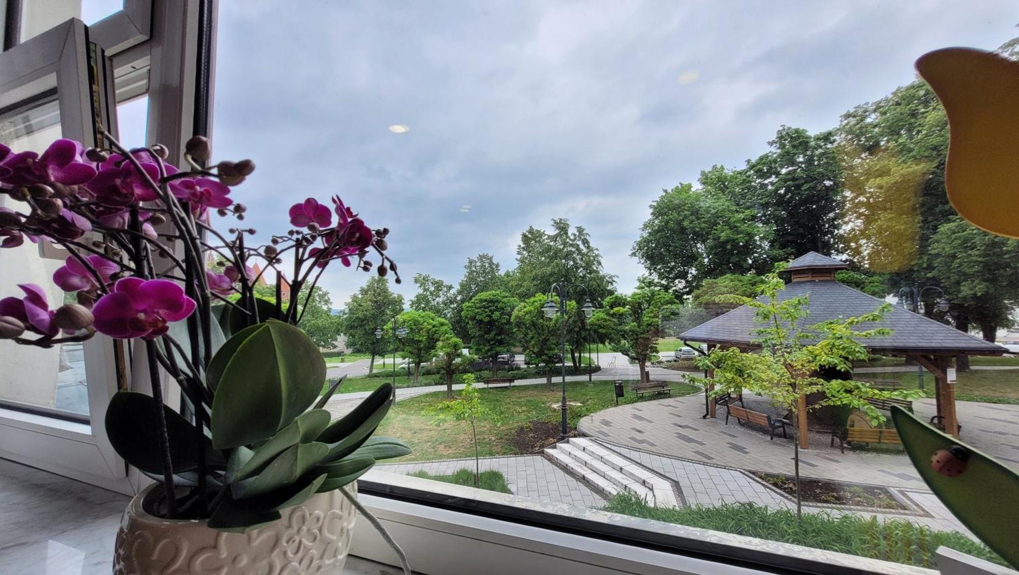 Apartment Centrum W Parku Przy Katedrze Nr 5 *